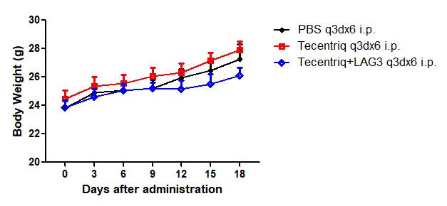 LAG3 Humanized Immune Checkpoint Mouse Model