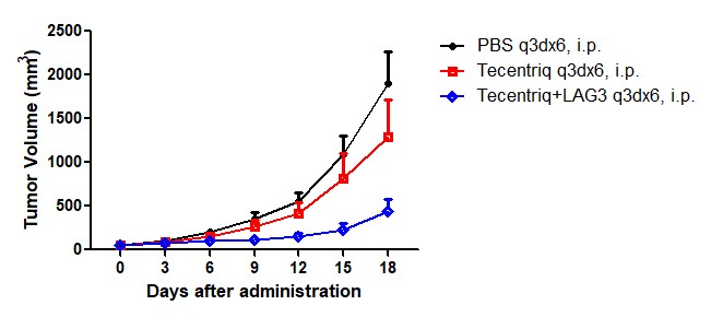 LAG3 Humanized Immune Checkpoint Mouse Model