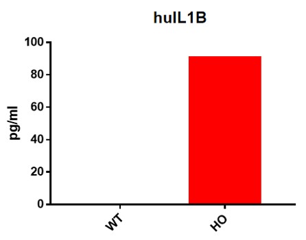 IL1B Humanized Immune Checkpoint Mouse Model