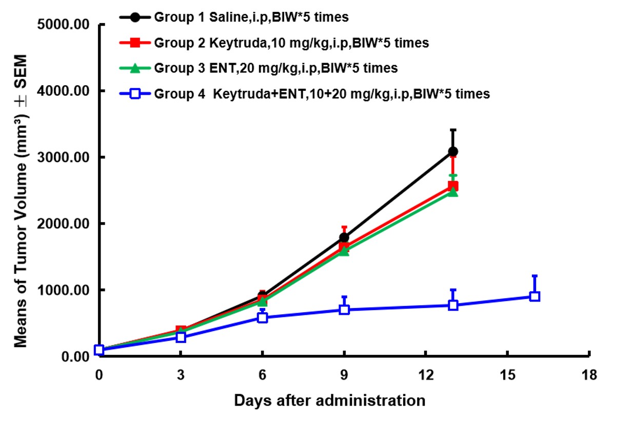 PD1 Humanized Immune Checkpoint Mouse Model