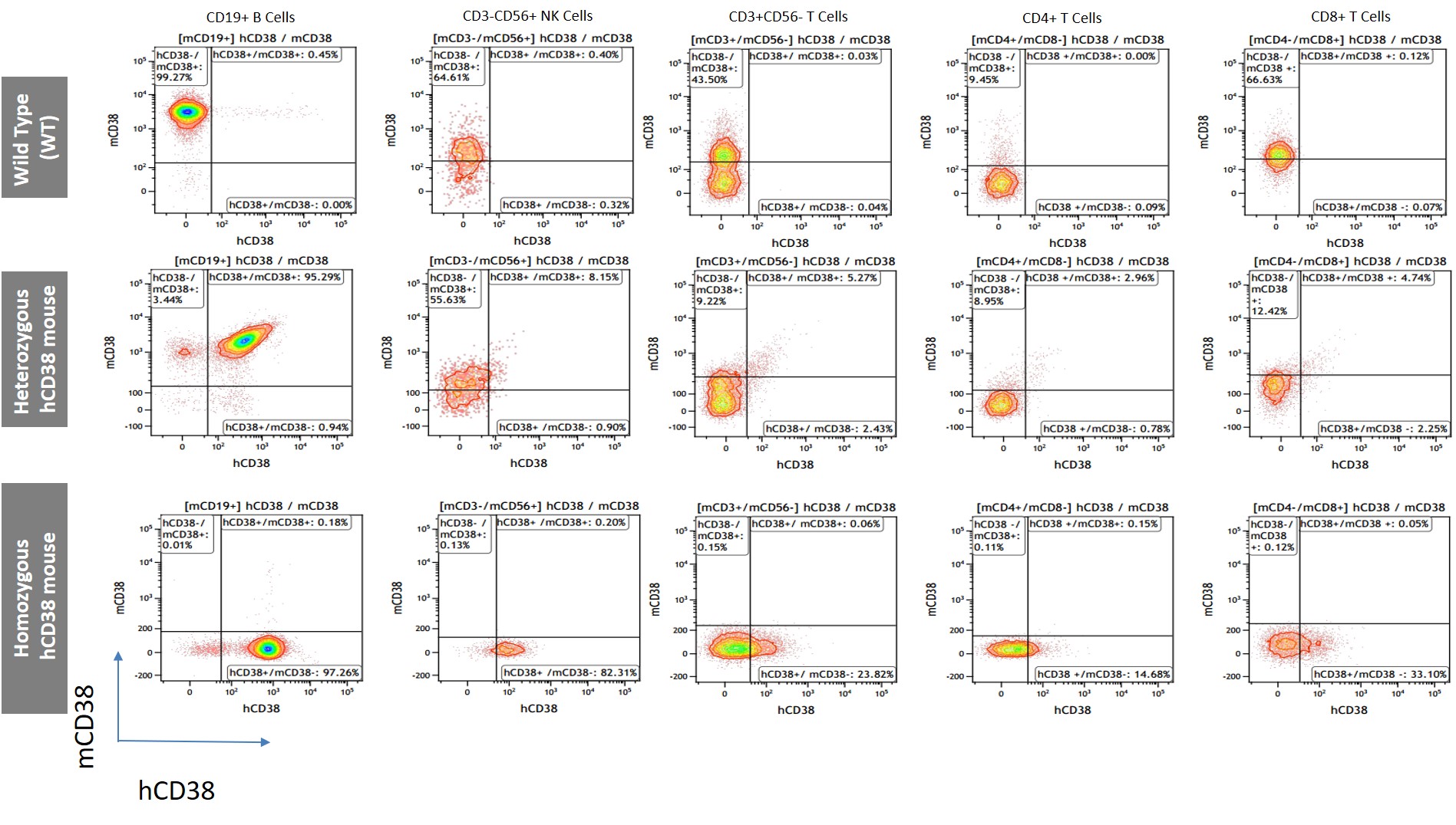 CD38 Humanized Immune Checkpoint Mouse Model