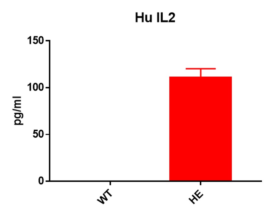 IL2 Humanized Immune Checkpoint Mouse Model