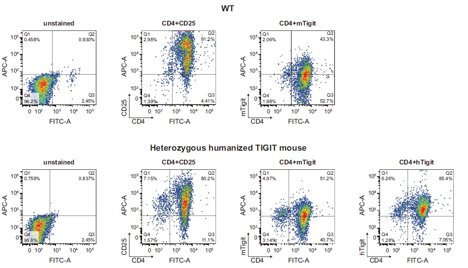 PD1/TIGIT/TIM3 Triple Humanized Immune Checkpoint Mouse Model