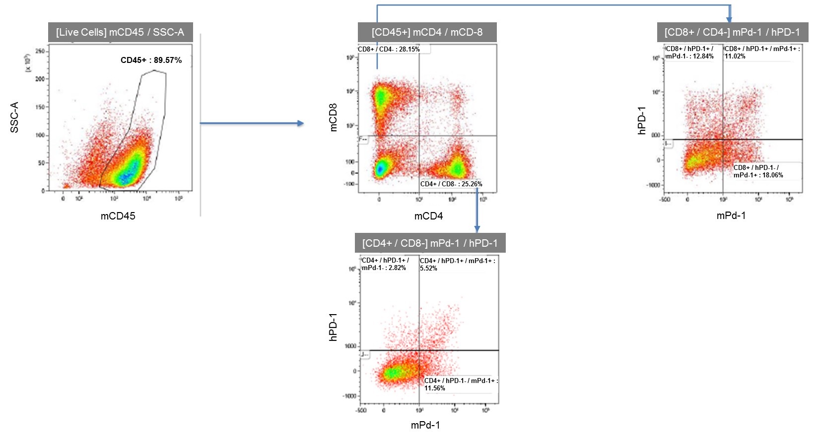 PD1/TIGIT/TIM3 Triple Humanized Immune Checkpoint Mouse Model