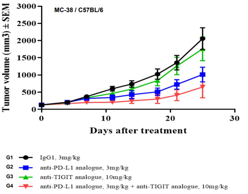 PD1/TIGIT/TIM3 Triple Humanized Immune Checkpoint Mouse Model