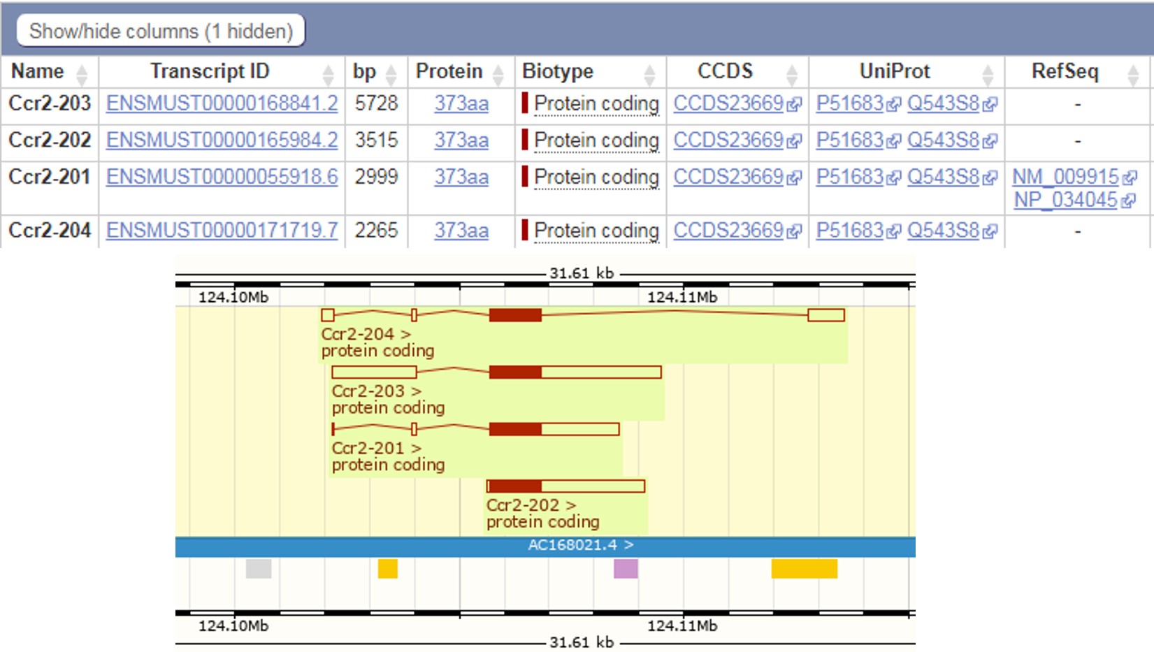 CCR2 Humanized Immune Checkpoint Mouse Model