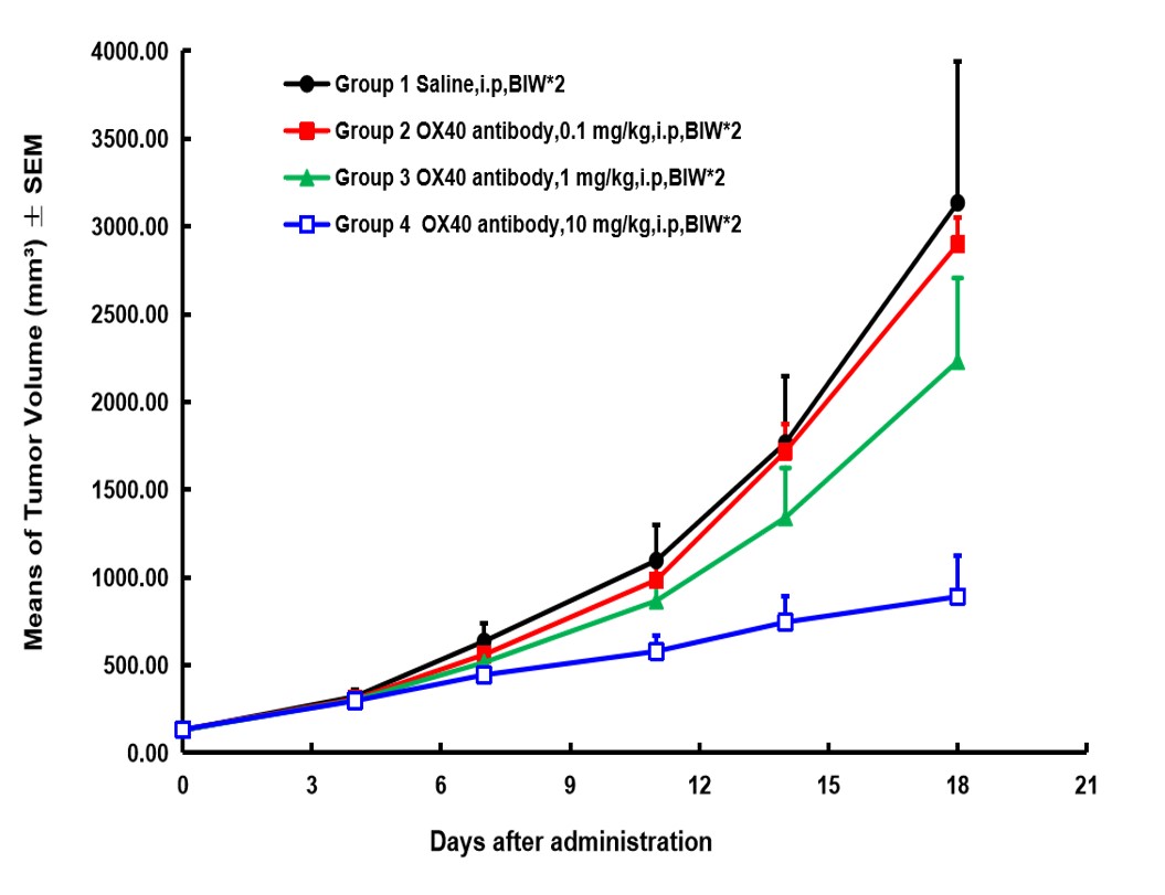 OX40 Humanized Immune Checkpoint Mouse Model