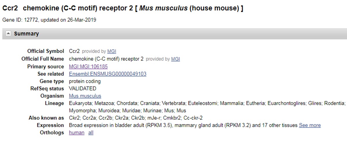 CCR2 Humanized Immune Checkpoint Mouse Model
