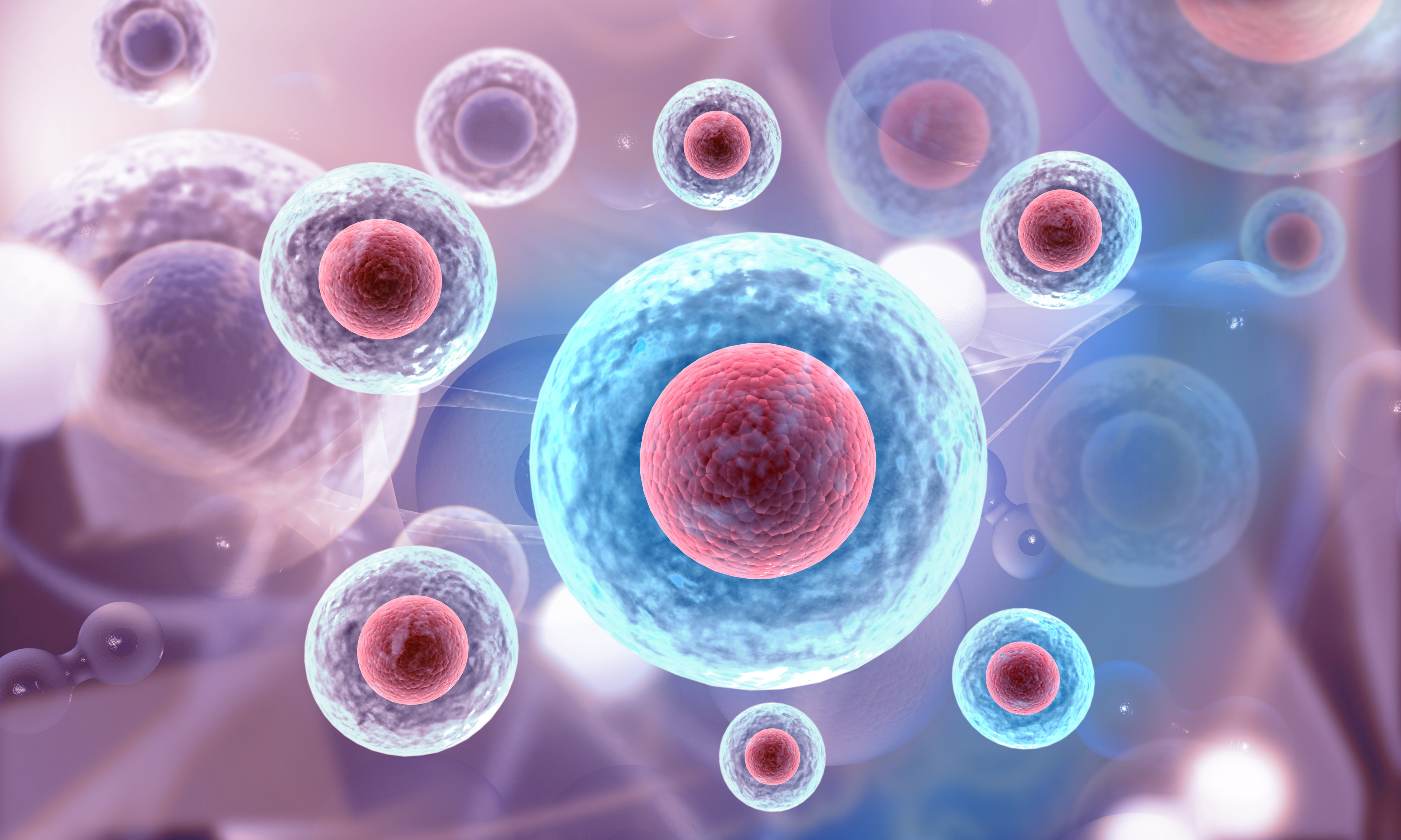 iPSC Differentiation 01