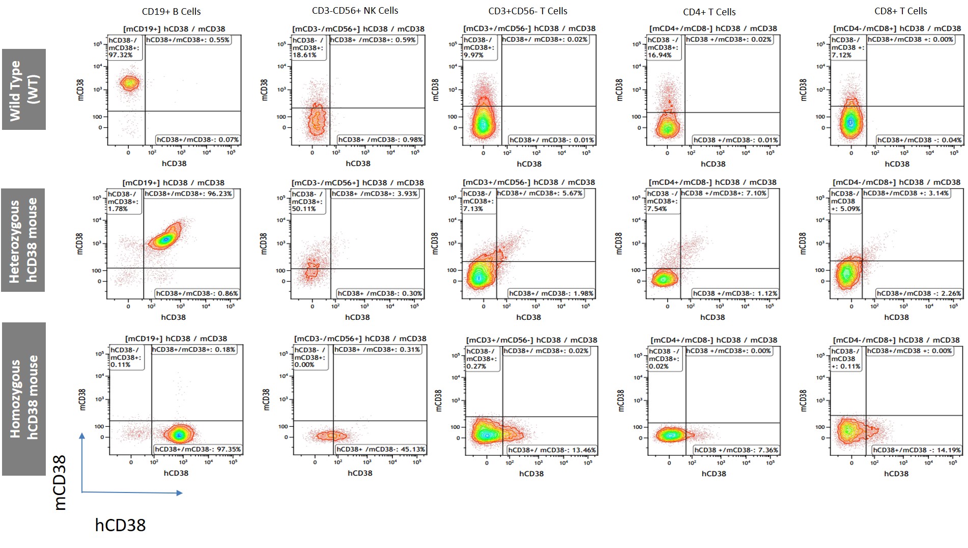 CD38 Humanized Immune Checkpoint Mouse Model