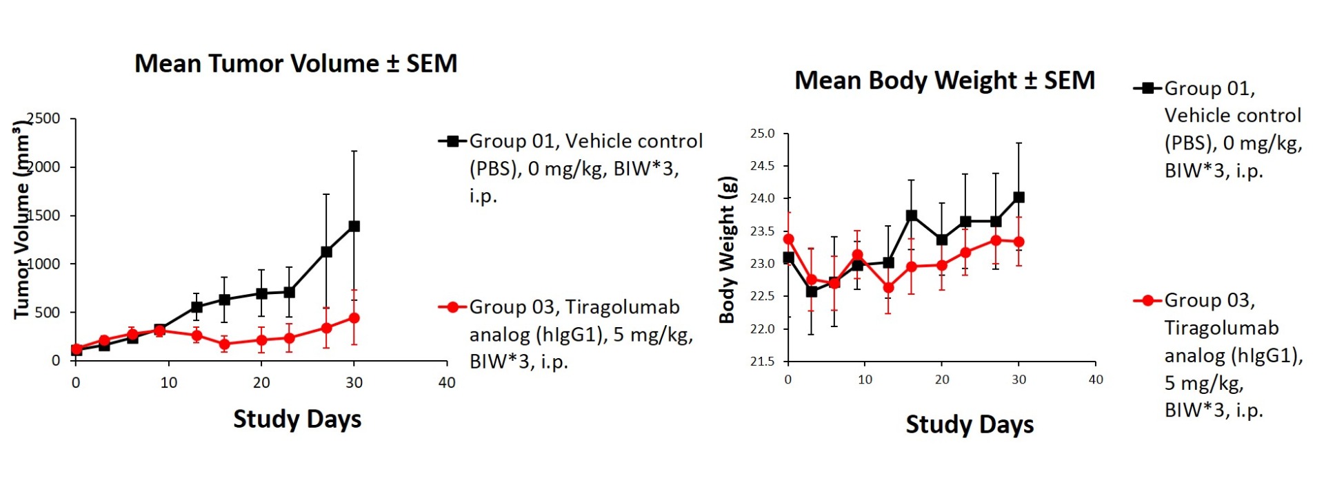 TIGIT Humanized Immune Checkpoint Mouse Model