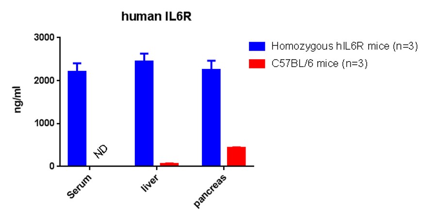 IL6R Humanized Immune Checkpoint Mouse Model