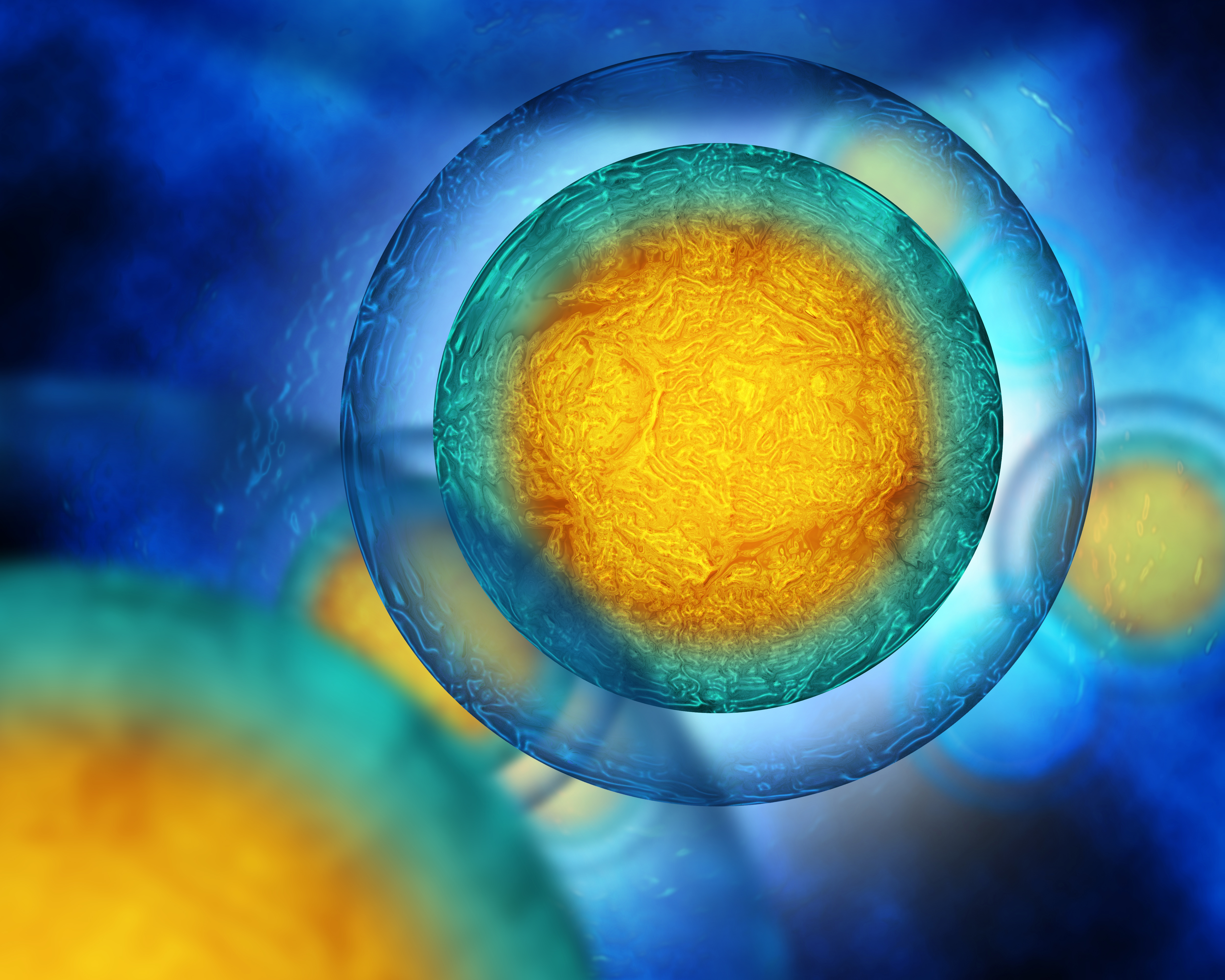 Cell Line Ebgineering 01