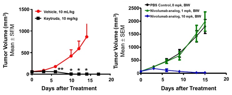 PD1/TIGIT/TIM3 Triple Humanized Immune Checkpoint Mouse Model