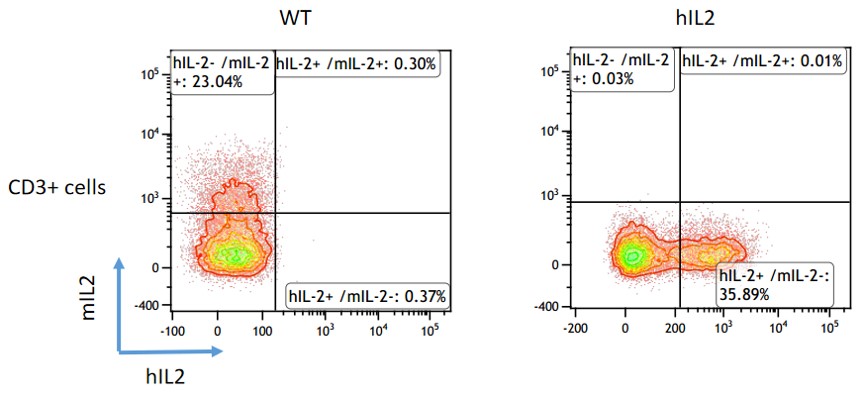 IL2 Humanized Immune Checkpoint Mouse Model