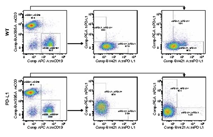 Landindpage-ashu-200260-pd-l1&,4-bb(2)-hu-icpmouse-3