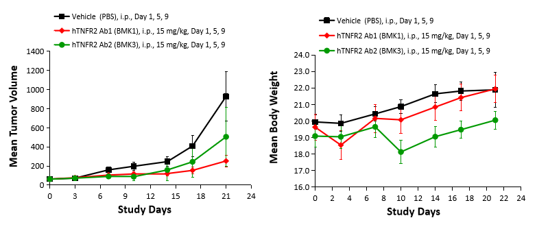 TNFRSF1B Humanized Immune Checkpoint Mouse Model