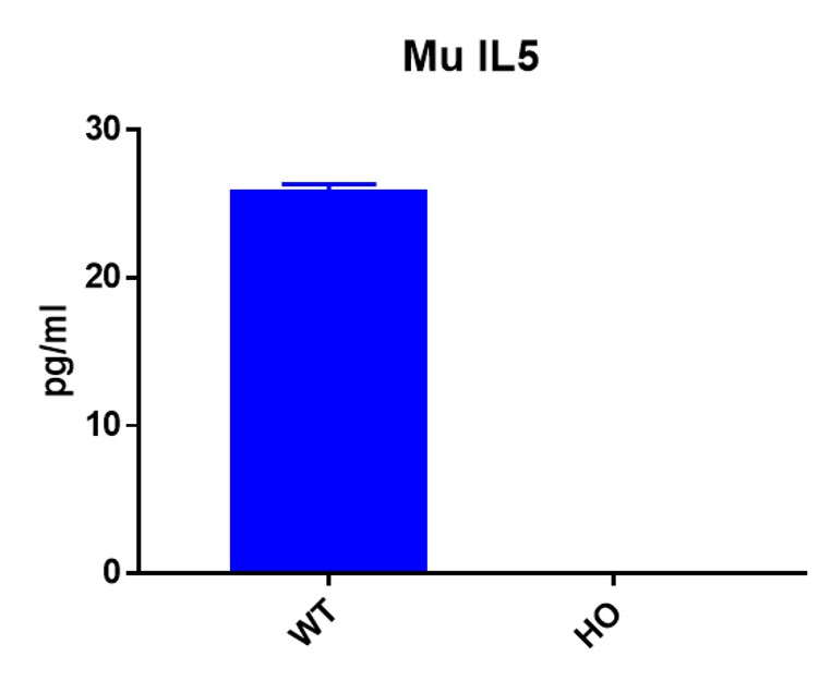 landingpage-ashu-190001-IL5-hu-icpmouse-3